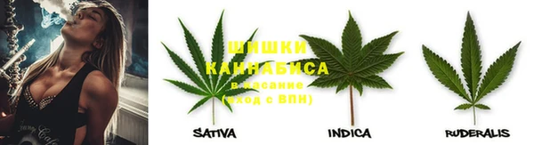 крисы Нефтекумск