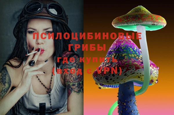 бутират Новодвинск