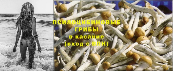 бутират Новодвинск