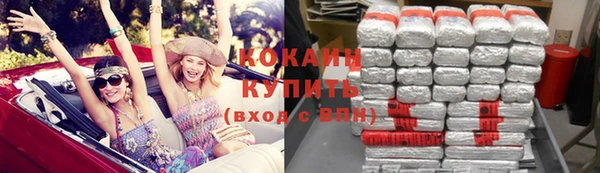 стафф Михайловск