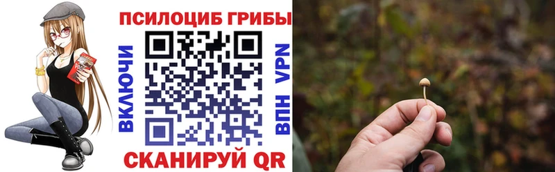 что такое   Ивантеевка  Псилоцибиновые грибы прущие грибы 