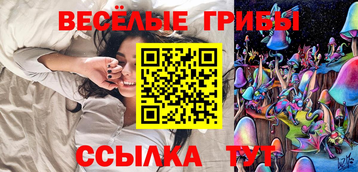 Псилоцибиновые грибы MAGIC MUSHROOMS  Вход с VPN  Ивантеевка  Псилоцибиновые грибы Psilocybine cubensis 