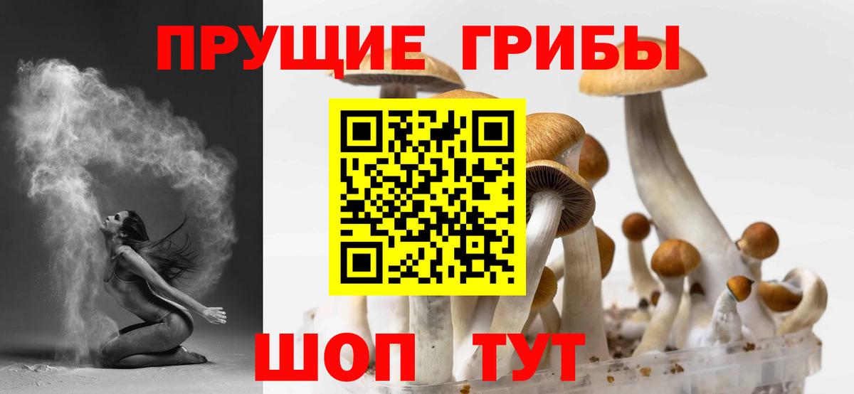 Псилоцибиновые грибы Magic Shrooms Ивантеевка