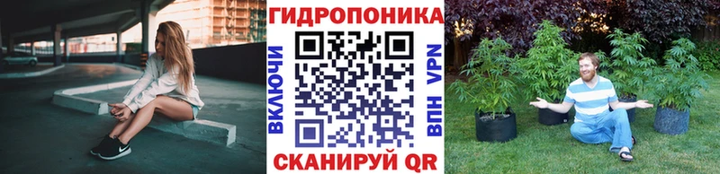 Бошки Шишки тримм  darknet клад  Ивантеевка 